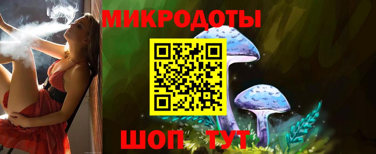 как найти   Псилоцибиновые грибы Cubensis  Вход с VPN  Нефтекамск 